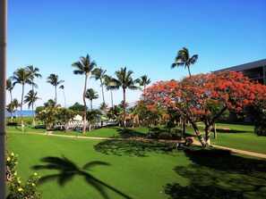 Property grounds - Maui Sunset Vacation Rentals B509 (Kihei)