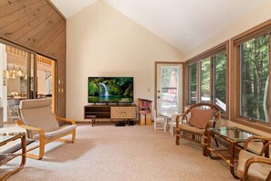 Smart-TV, Kamin