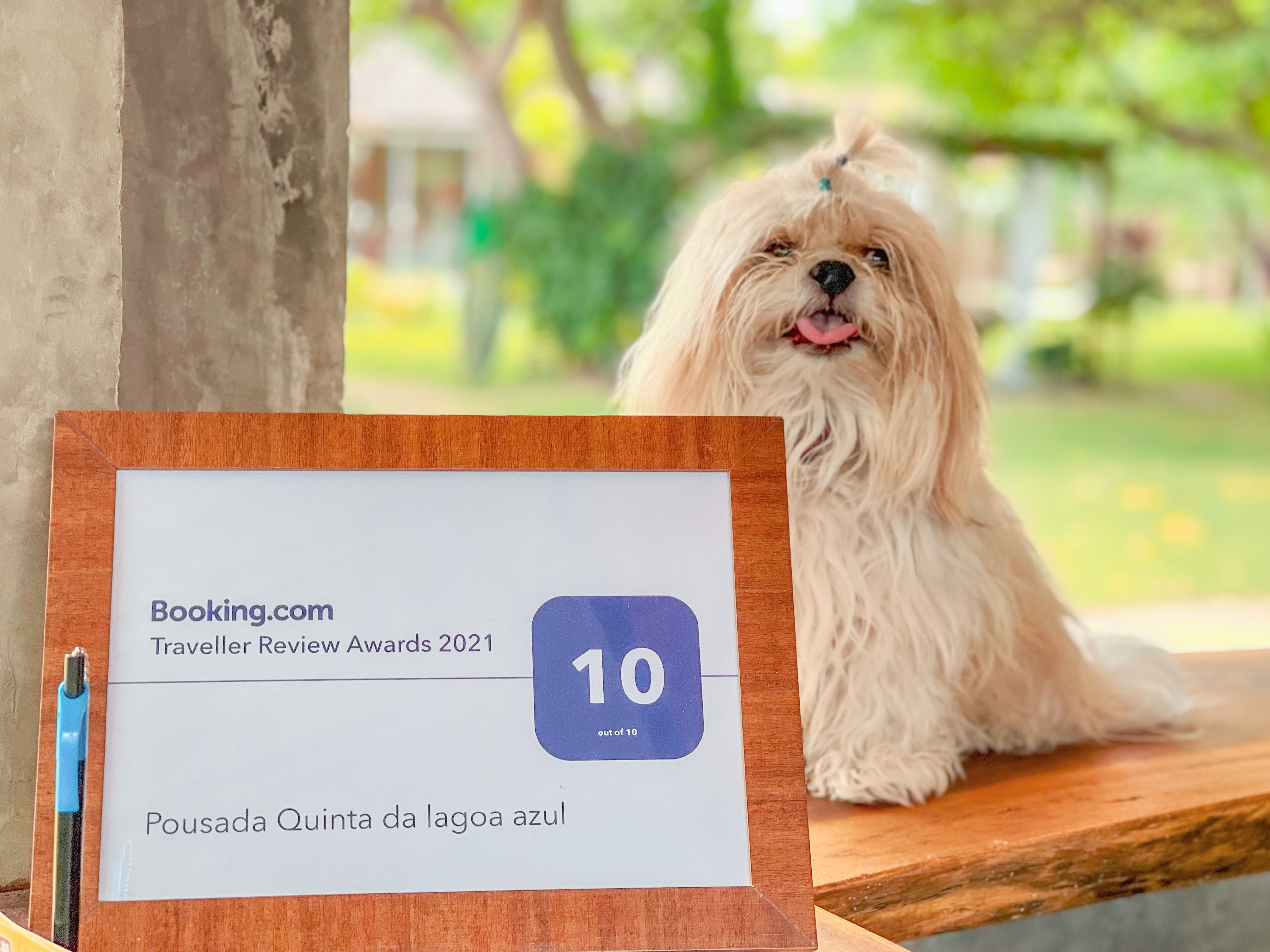 A framed award certificate for Booking.com Traveller Review Awards 2021, featuring a 10 out of 10 rating for Pousada Quinta da lagoa azul.