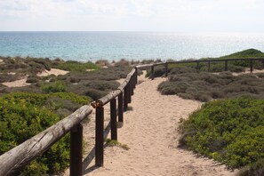 Ranta