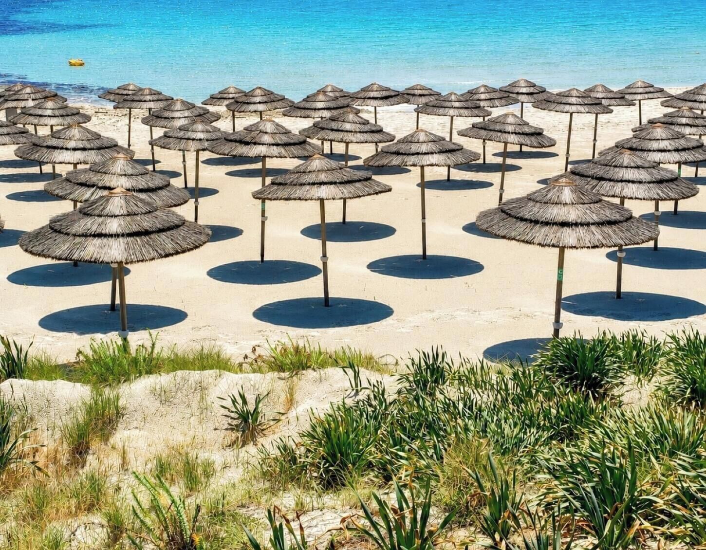A beach with multiple thatched umbrellas arranged in rows.
