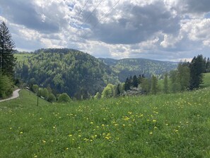 Pool - Schwarzwald Ferienwohnung im Ruhigem Tal (Sankt Märgen)