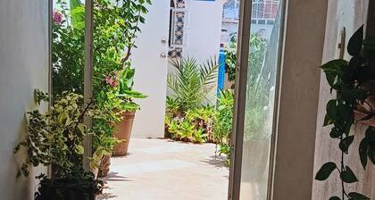 Alexandross Hostel (IN PTO VALLARTA)