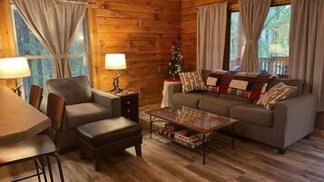 Smart TV, fireplace, DVD player, books