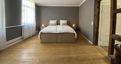 Center, modern renovated old town apartment, Torster #3