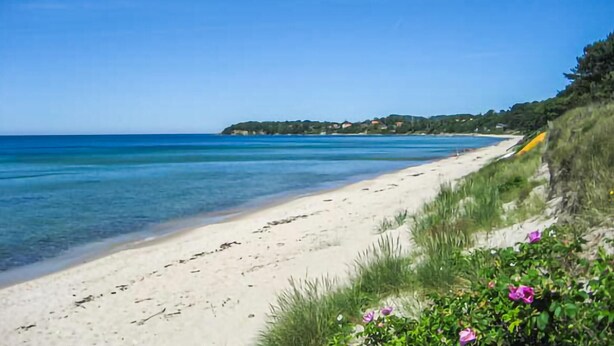 A beach with clear blue water, sandy shore, and greenery along the coastline. - 3 bedroom lovely home in Rønne (Rønne)