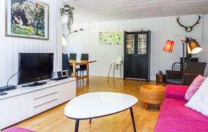 TV, fireplace, DVD player