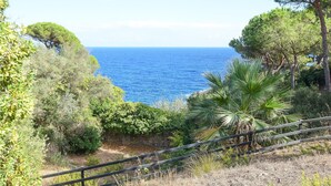 A coastal landscape with a clear view of the sea, dense greenery, and a wooden fence. - 3 bedroom nice apartment in Rio Marina (Rio Marina)