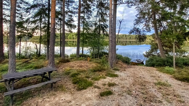 Une zone boisée avec un sentier de terre qui mène à un petit quai au bord d’un lac paisible.