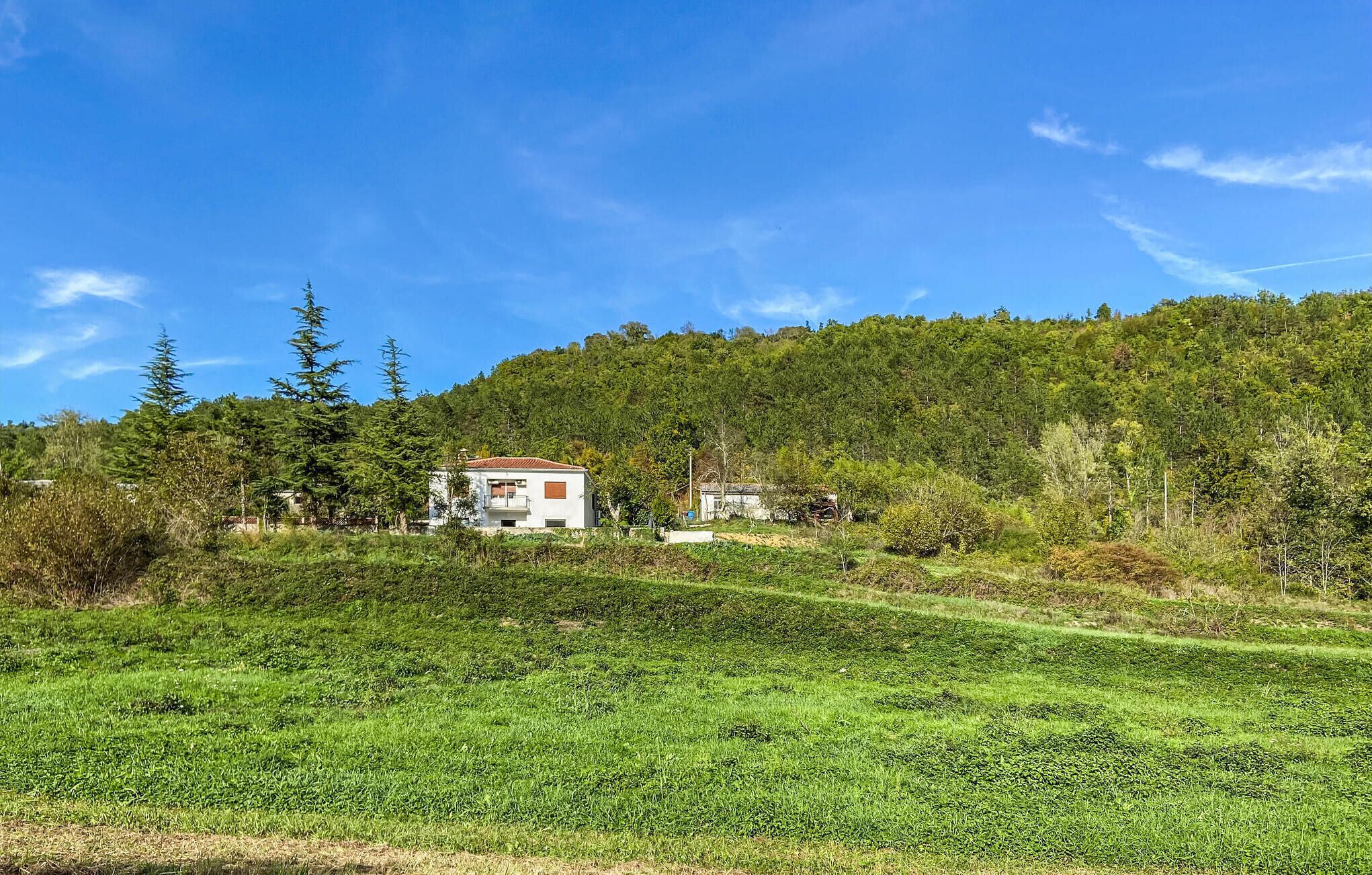 Une maison avec un toit rouge, entourée d’une végétation luxuriante et située au pied d’une colline boisée.