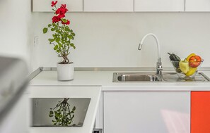 Fridge, oven, stovetop, dishwasher - 2 bedroom stunning home in Podpican (Podpican)