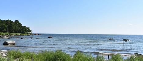 In StrandnÀhe, Angeln