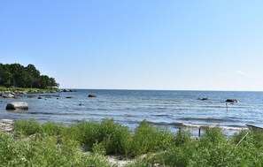 Una spiaggia nelle vicinanze, pesca