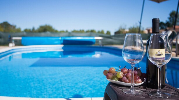 A poolside setting with a bottle of wine, a glass, and a plate of grapes. - Cozy home in Donji Andrijevci (Donji Andrijevci)