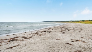 A beach with sand and seaweed, a clear sky, and a distant tree line.