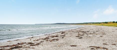 Beach nearby, fishing