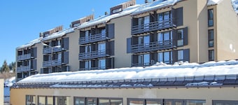 Stunning apartment in Vason
