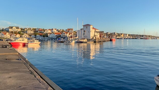 A harbor with boats docked, a pier, and houses in the background.