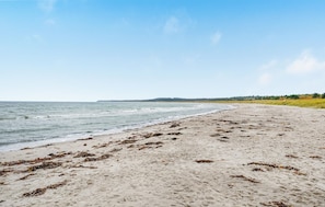 Tæt på stranden, fiskeri