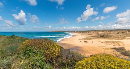 2 bedroom amazing apartment in Guspini