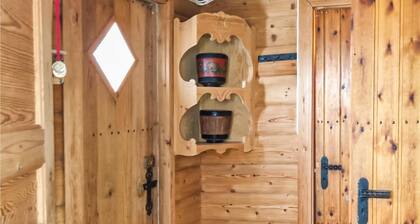 Stunning home in Uvdal with WiFi