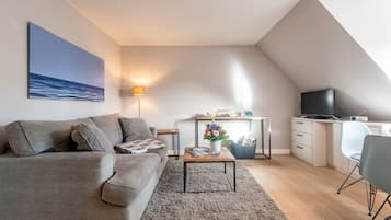 Televisio, DVD-soitin