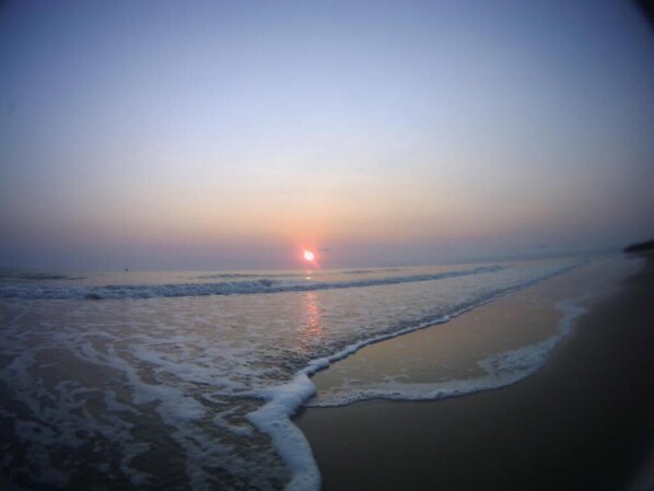 Vlak bij het strand