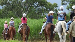 A group of people riding horses in a grassy field with trees in the background. - Beachfront  (Yorkeys Knob)