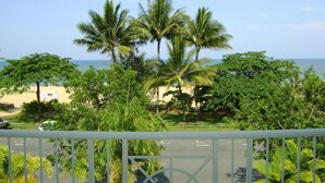 A view of a beach with palm trees and a clear sky. - Beachfront  (Yorkeys Knob)