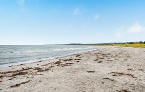 A beach with sand and seaweed, a clear sky, and a distant tree line. - 2 bedroom awesome home in Grenaa (Grenaa)