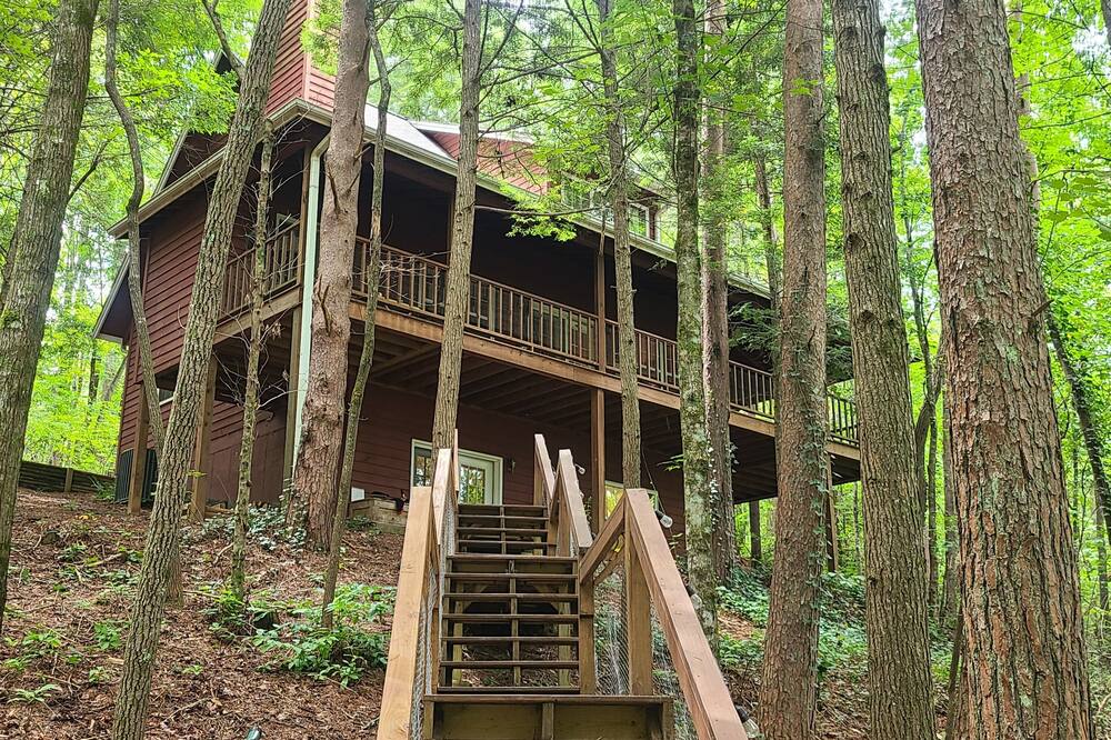 Creekside cabin in the woods - pet friendly, up to 8 guests