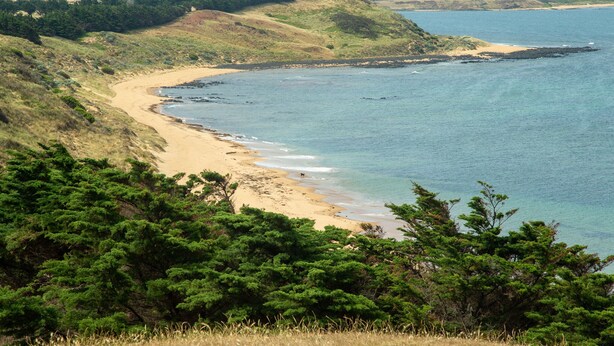 Paisaje costero con playa arenosa, vegetación verde y una vista despejada del mar.
