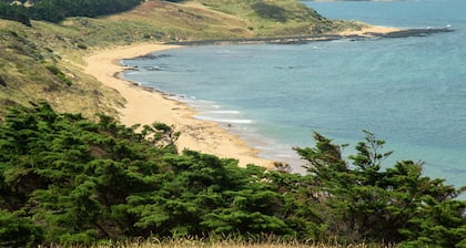 Daphne by the sea at Omaru Farm, Phillip Island