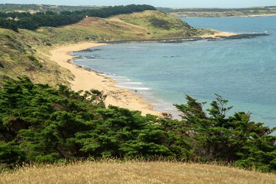 Daphne by the sea at Omaru Farm, Phillip Island