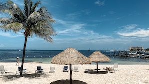 Une plage avec des parasols en chaume, des chaises longues et un palmier.