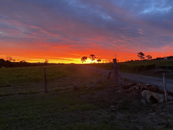 Paisaje rural al atardecer con una valla, un farol y un perro.