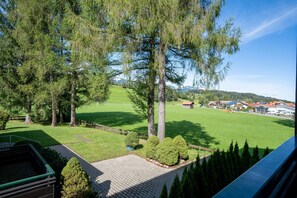 صورة غير مصنفة، 4 من 9، زرّ