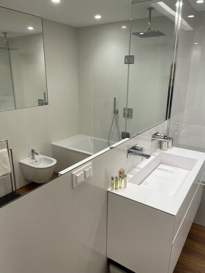 Combined shower/tub, hair dryer, bidet, towels