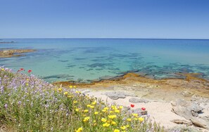 Plage à proximité