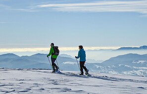 Sne- og skisport