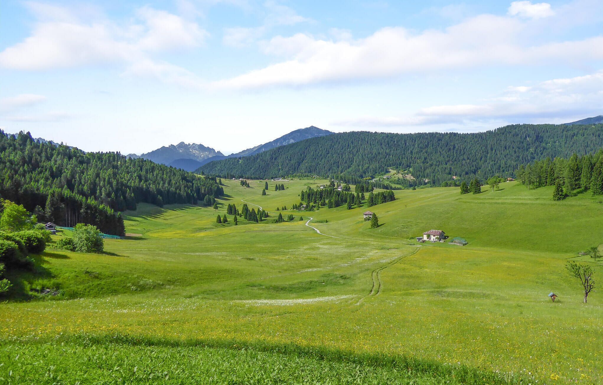 Una vista panorámica de un valle verde exuberante con casas dispersas y un sendero sinuoso.