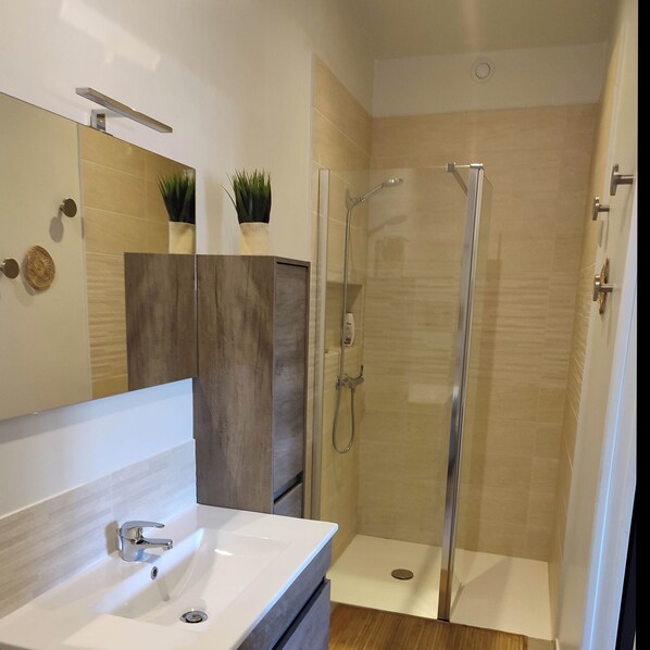 Shower, hair dryer, towels, toilet paper