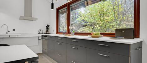 Kjøleskap, oppvaskmaskin og kaffetrakter/tekoker