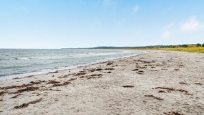 A beach with sand and seaweed, a clear sky, and a distant tree line. - Nice home in Grenaa with kitchen (Grenaa)