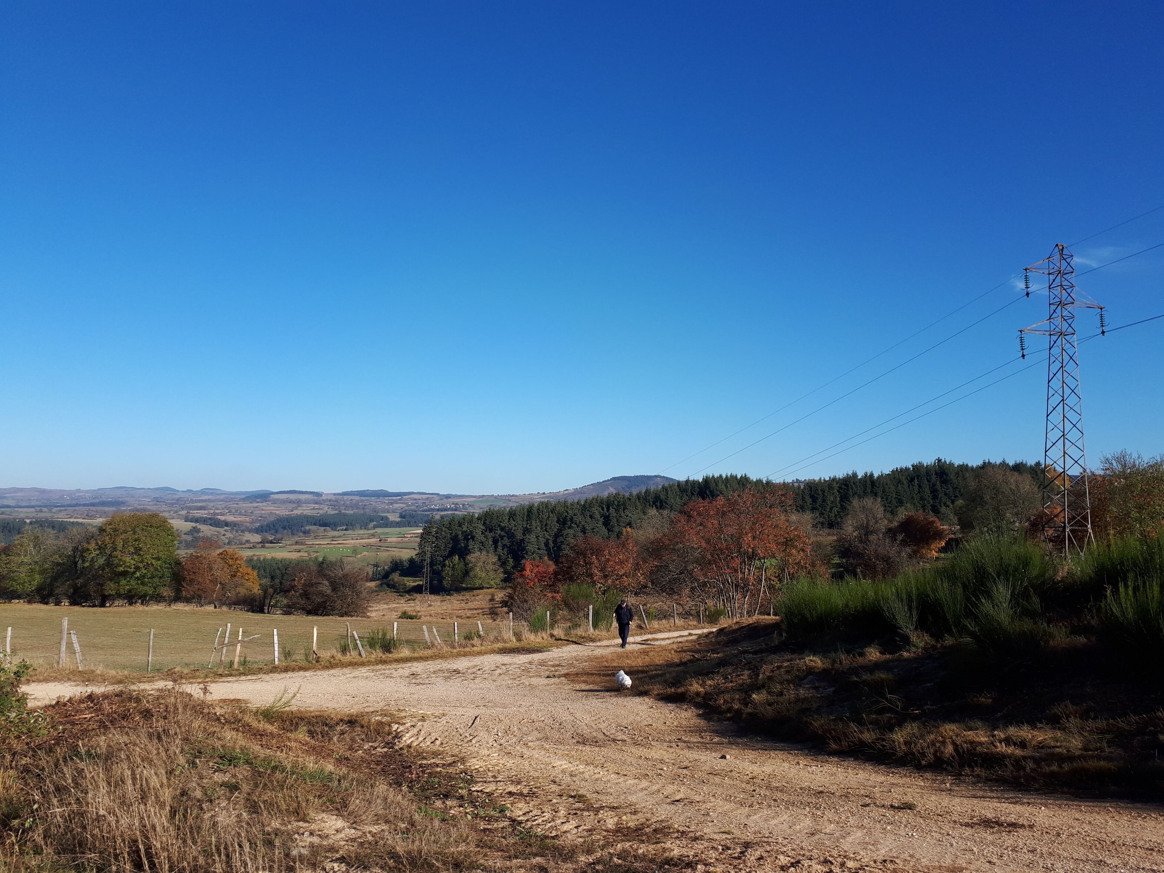 A rural landscape with a dirt path, a person walking, and a power line tower.