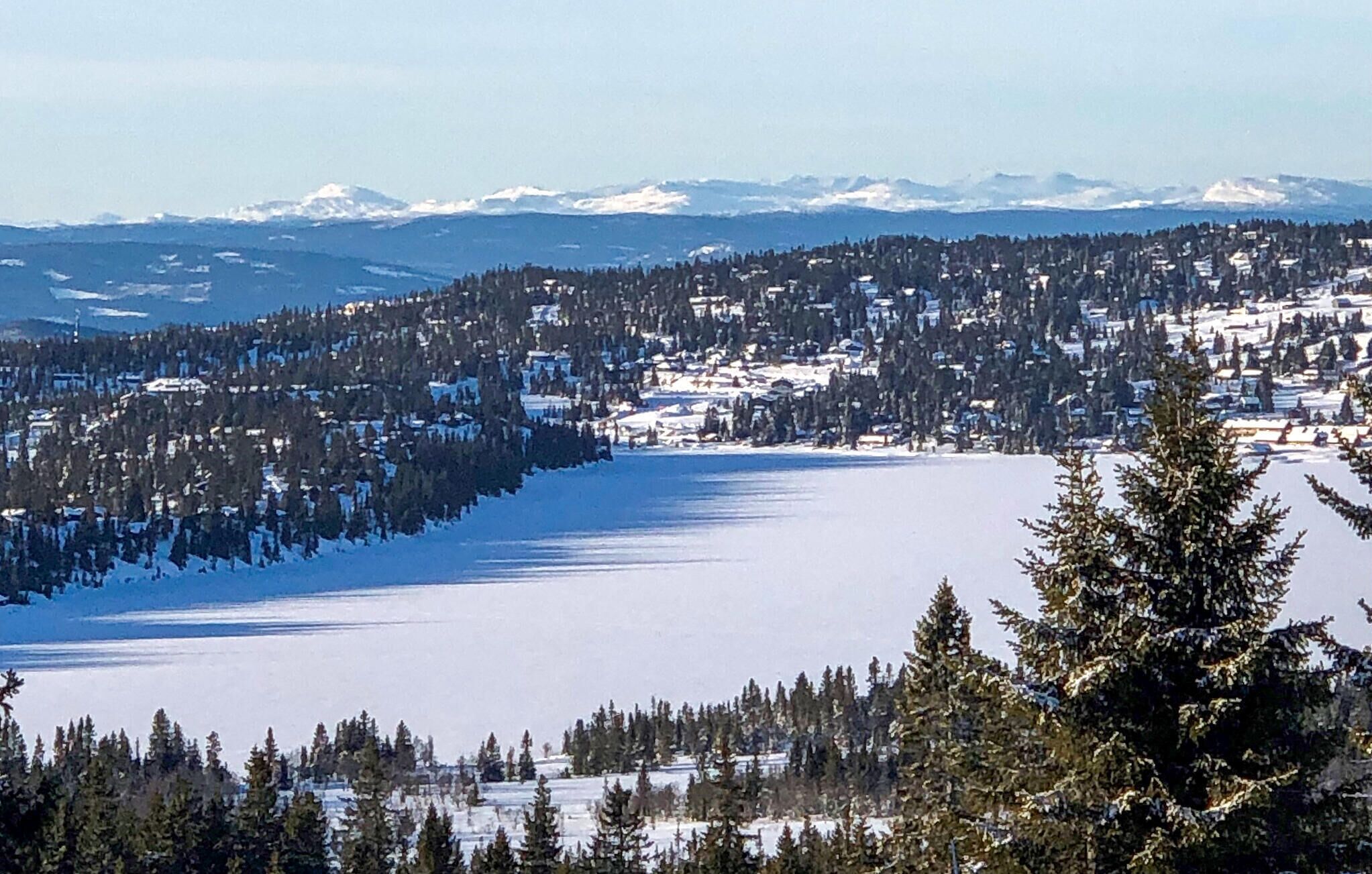 A panoramic view of a snow-covered lake surrounded by dense forests and a town with buildings and houses.