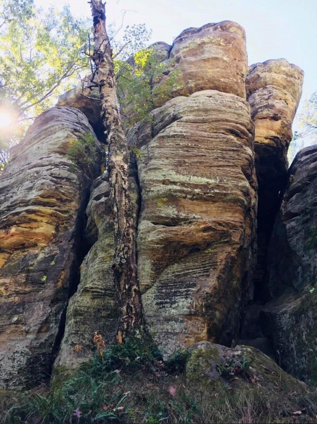 A natural rock formation with a tree growing through it.