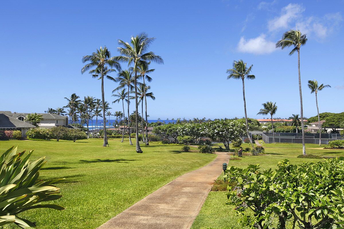 A pathway leading through a well-maintained lawn with tall palm trees, surrounded by greenery and a view of the ocean.