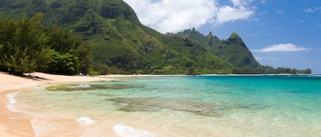 在海灘附近