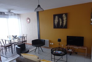 TV - Apartment (Saint-Cyprien)